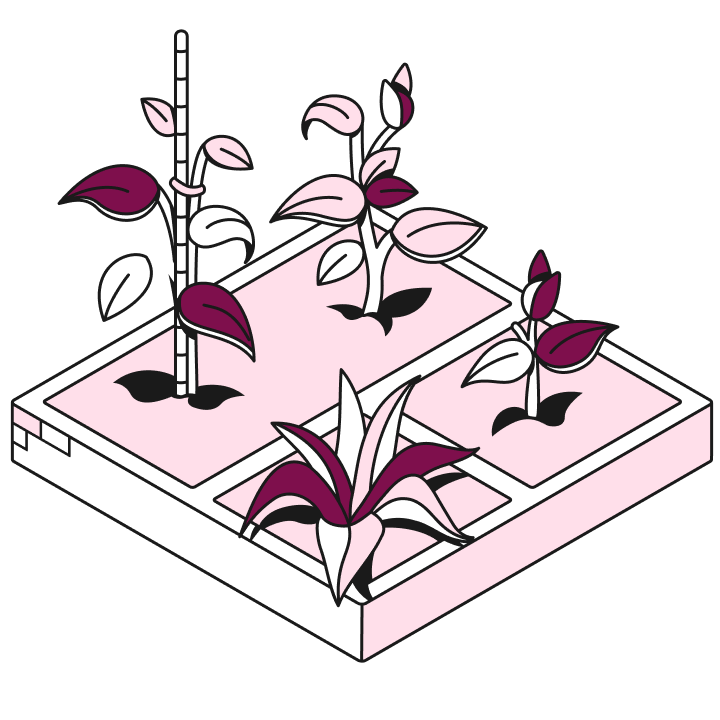 Web Flow Sakura Tiles SEOMise en avant des petites entreprises