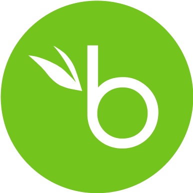 logo di integrazione bamboohr