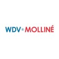 Logo zur Integration von Rechnungen von WDV Molline