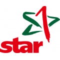 Star Tankstelle Flottenkarten Rechnungen Integration Logo