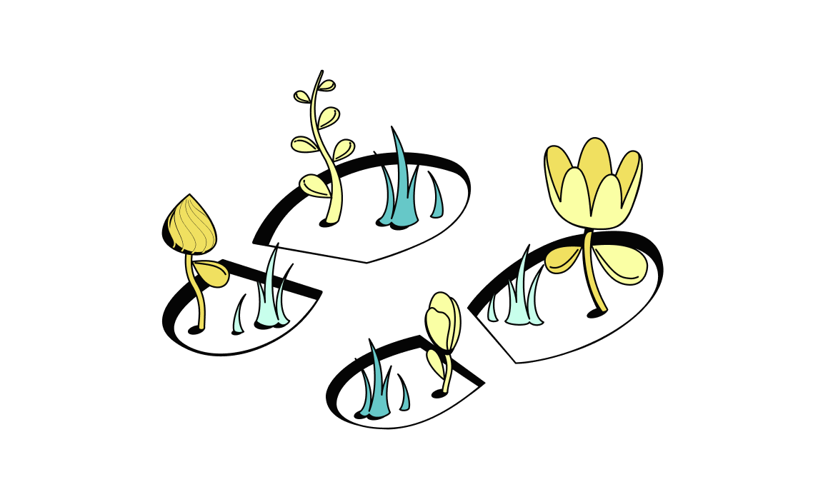 WEB Mint Mustard Cards Bento Headline Impact Footprints