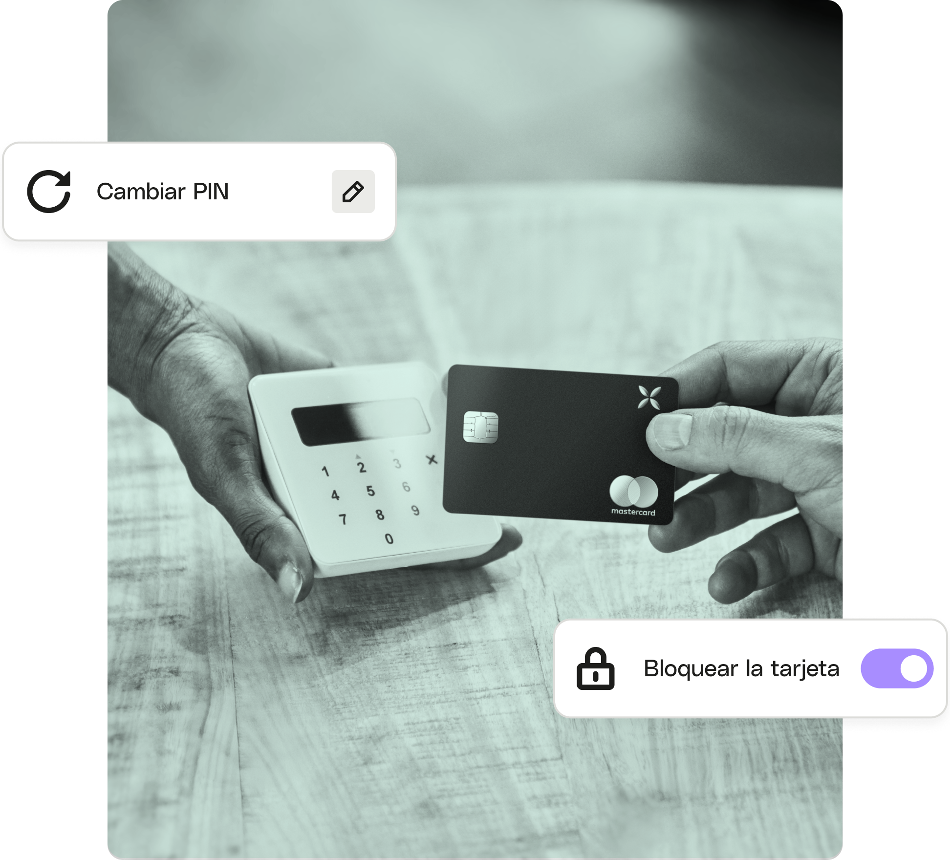 Tema destacado de la interfaz de usuario de Mint Photo POS XCard