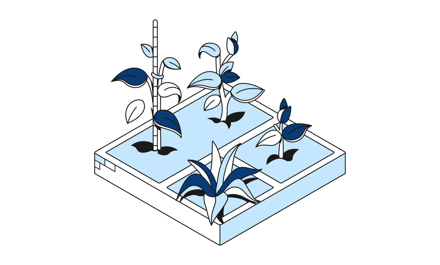 Cartes Bento Blueberry WEB Flow Headline Petites entreprises