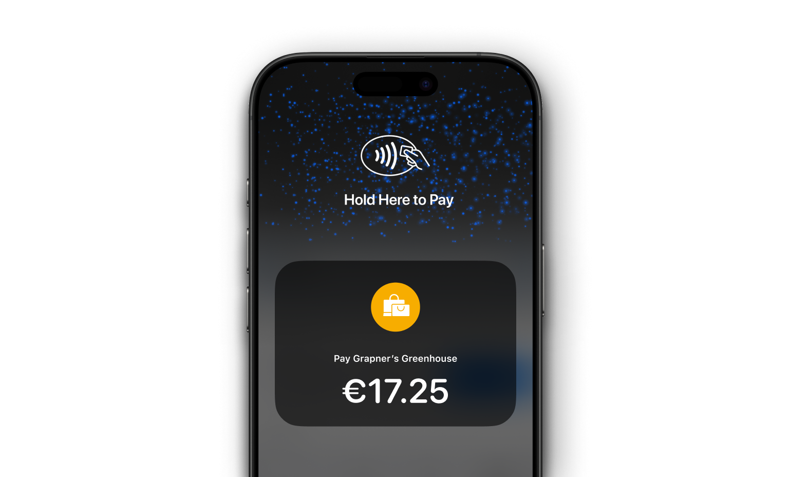 WEB  UI Cards Bento Headline Tap to Pay
