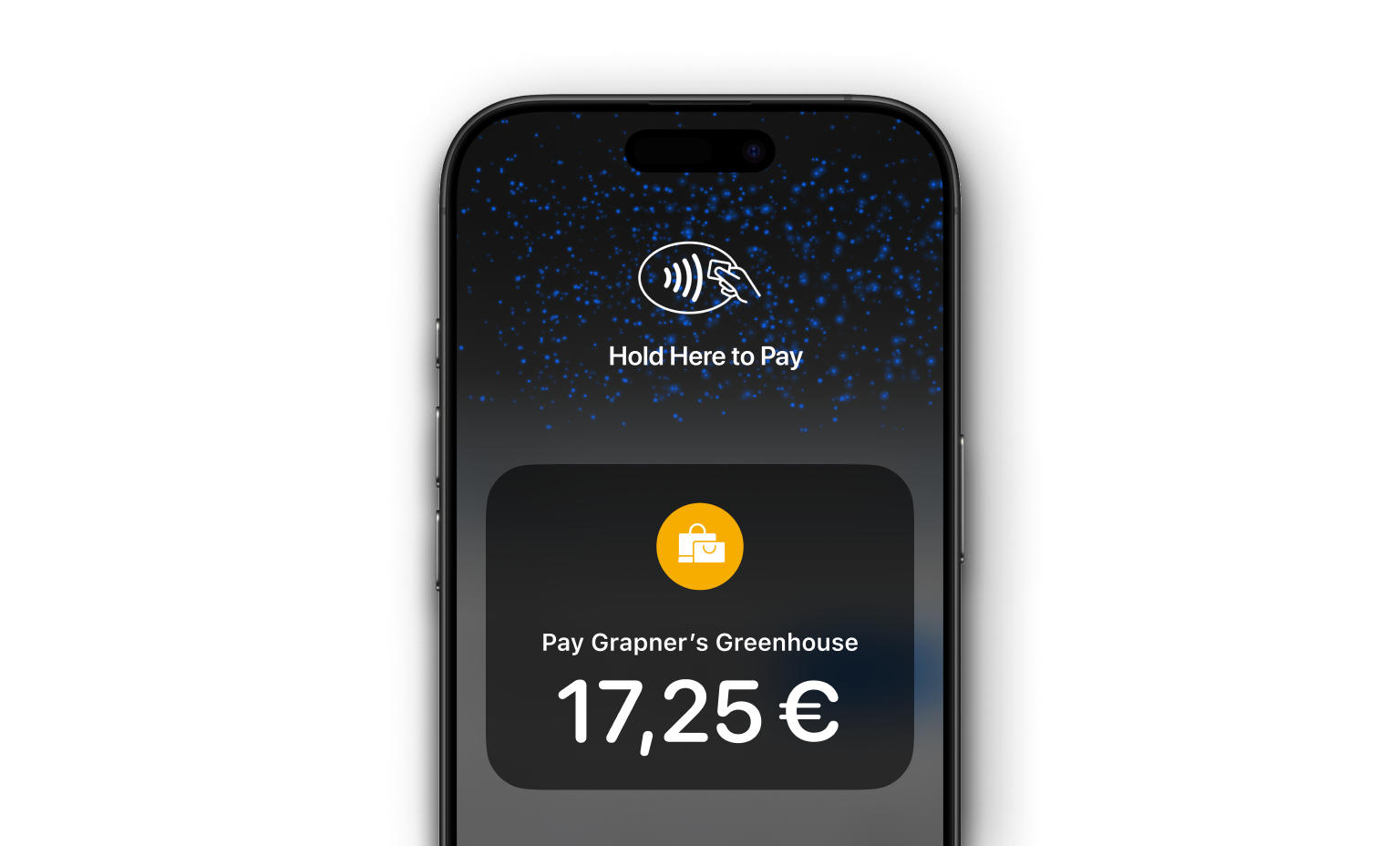 WEB    UI Cards Bento Headline Tap to Pay