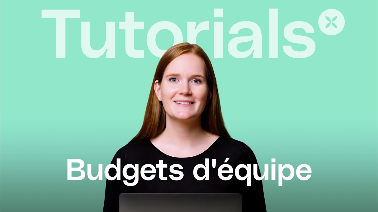 BLOG Divers Mint VideoPreview suivre les budgets qono