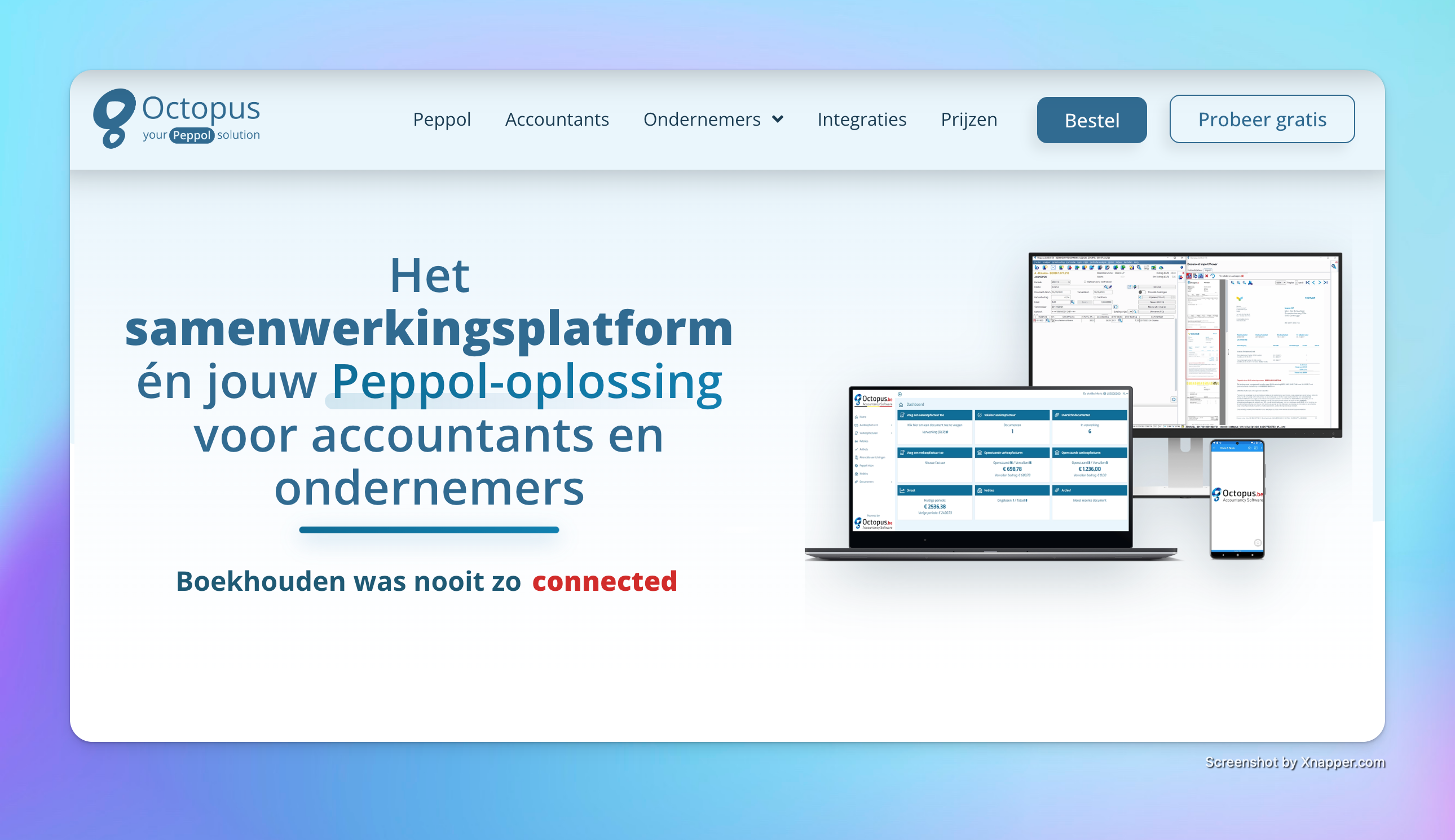 Octopus accounting tool