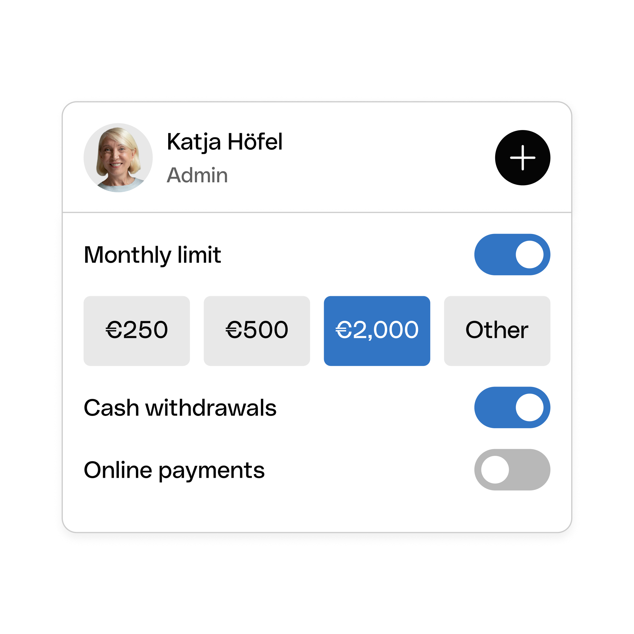 WEB ENDE UI  Hero TopicHighlight Bento Headline Cards Spend Limits Manager WbRvmp
