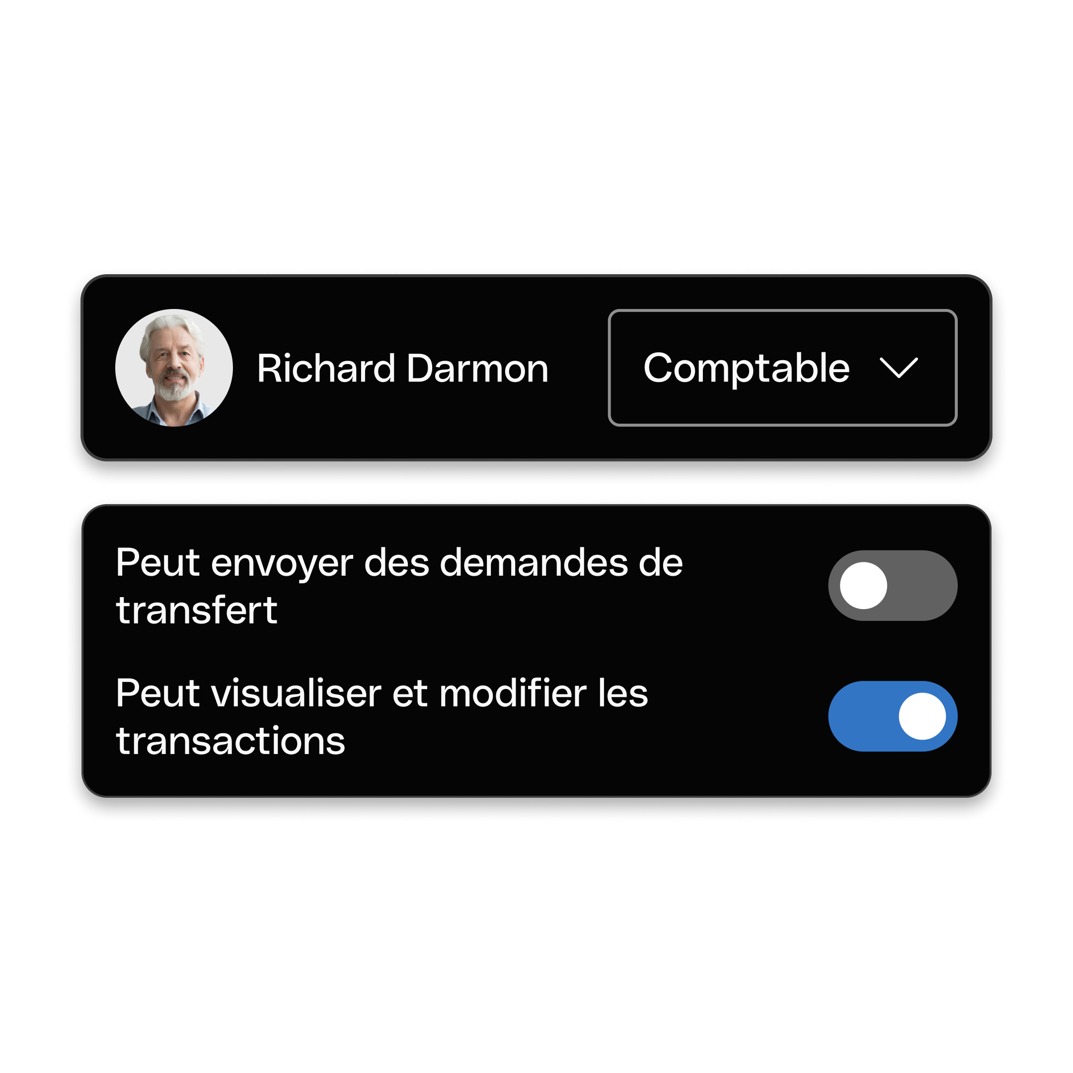 Interface utilisateur Web : Sujet principal, En vedette, Bento, Titre, Cartes, Tuiles, Comptabilité, Accès, Mode sombre, WbRvmp
