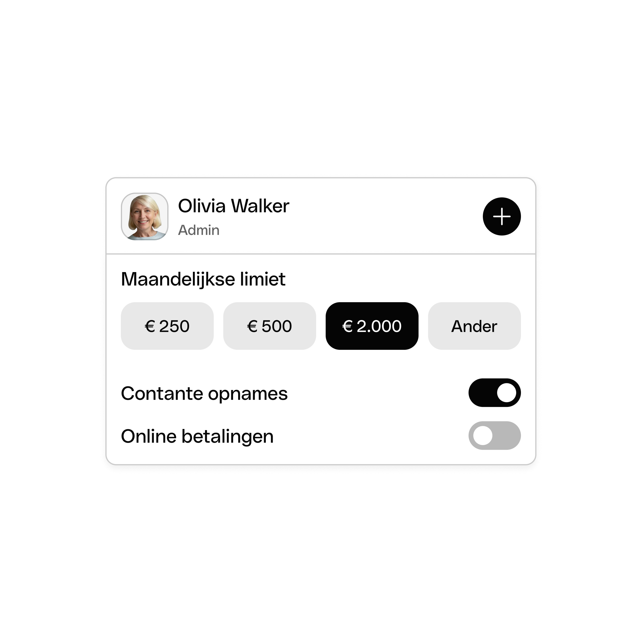 Spend Limits Card