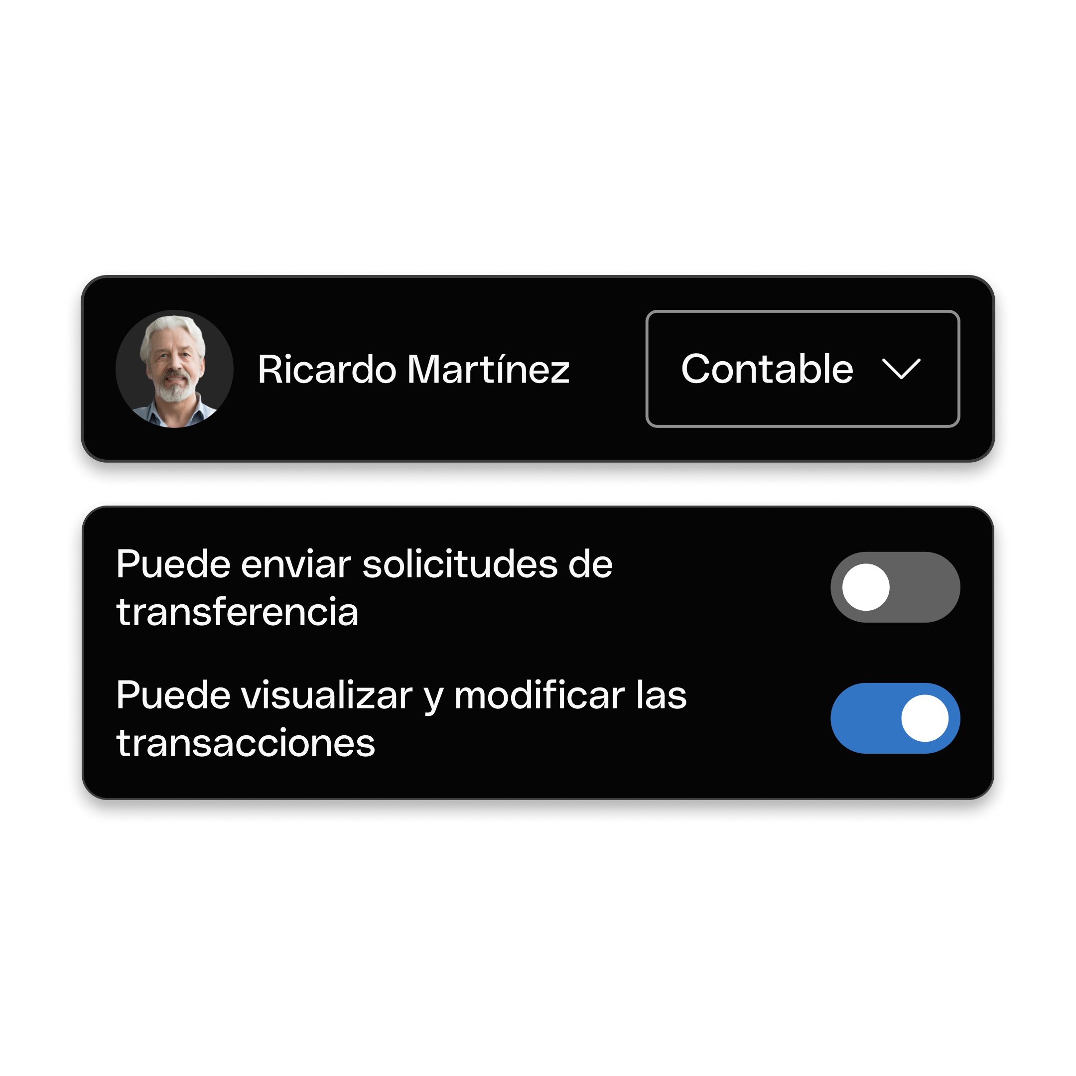 Interfaz web Tema destacado Bento Tarjetas de encabezado Mosaicos Acceso a contabilidad Modo oscuro WbRvmp