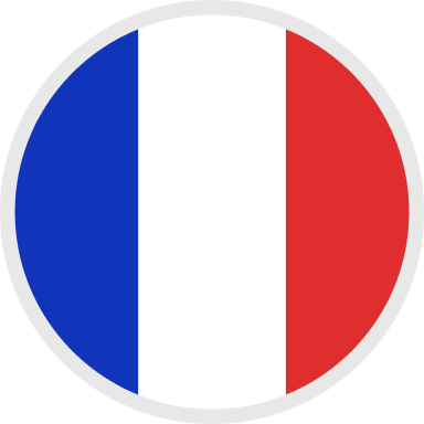 WEB Badge Flag France WbRvmp