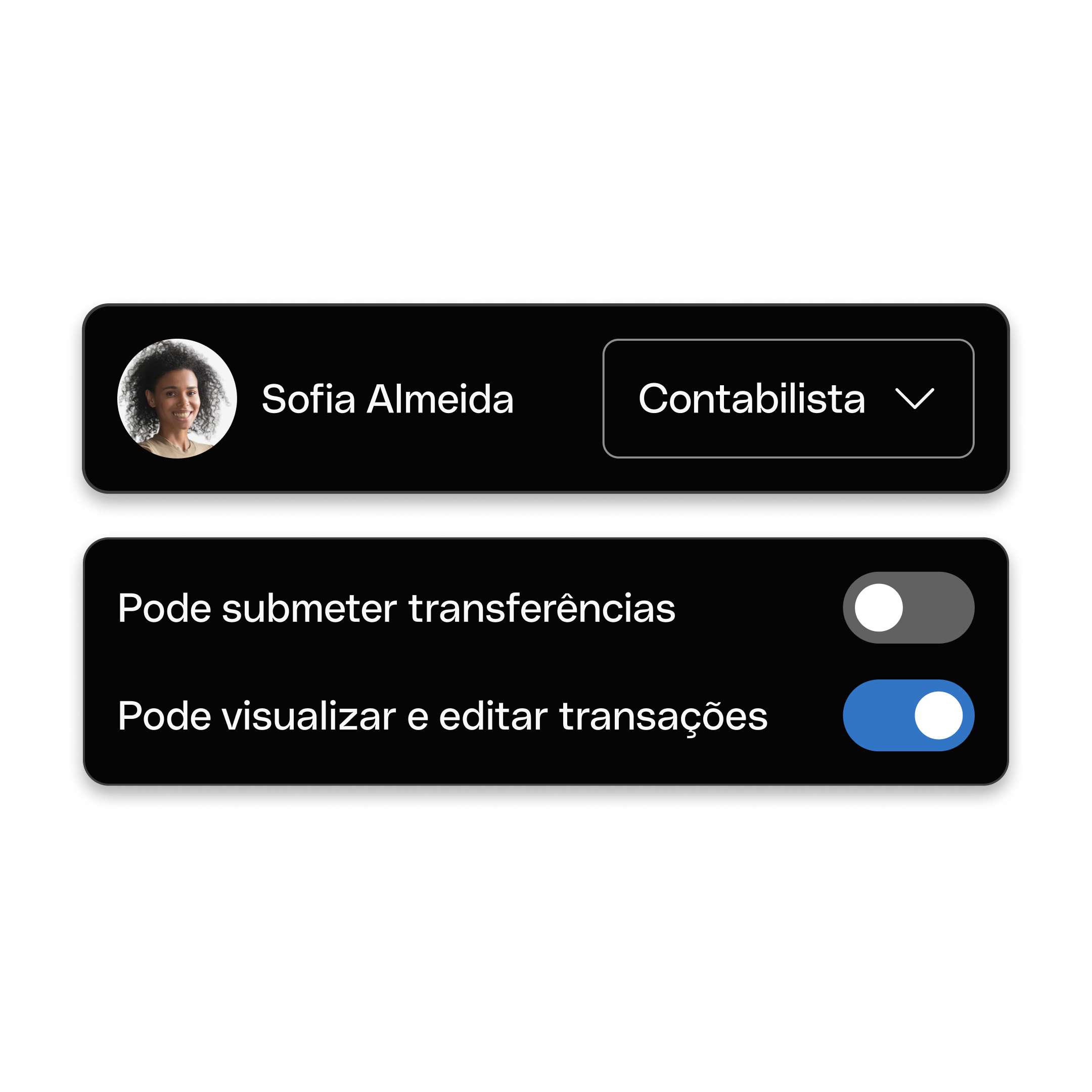 Accounting Access DarkMode
