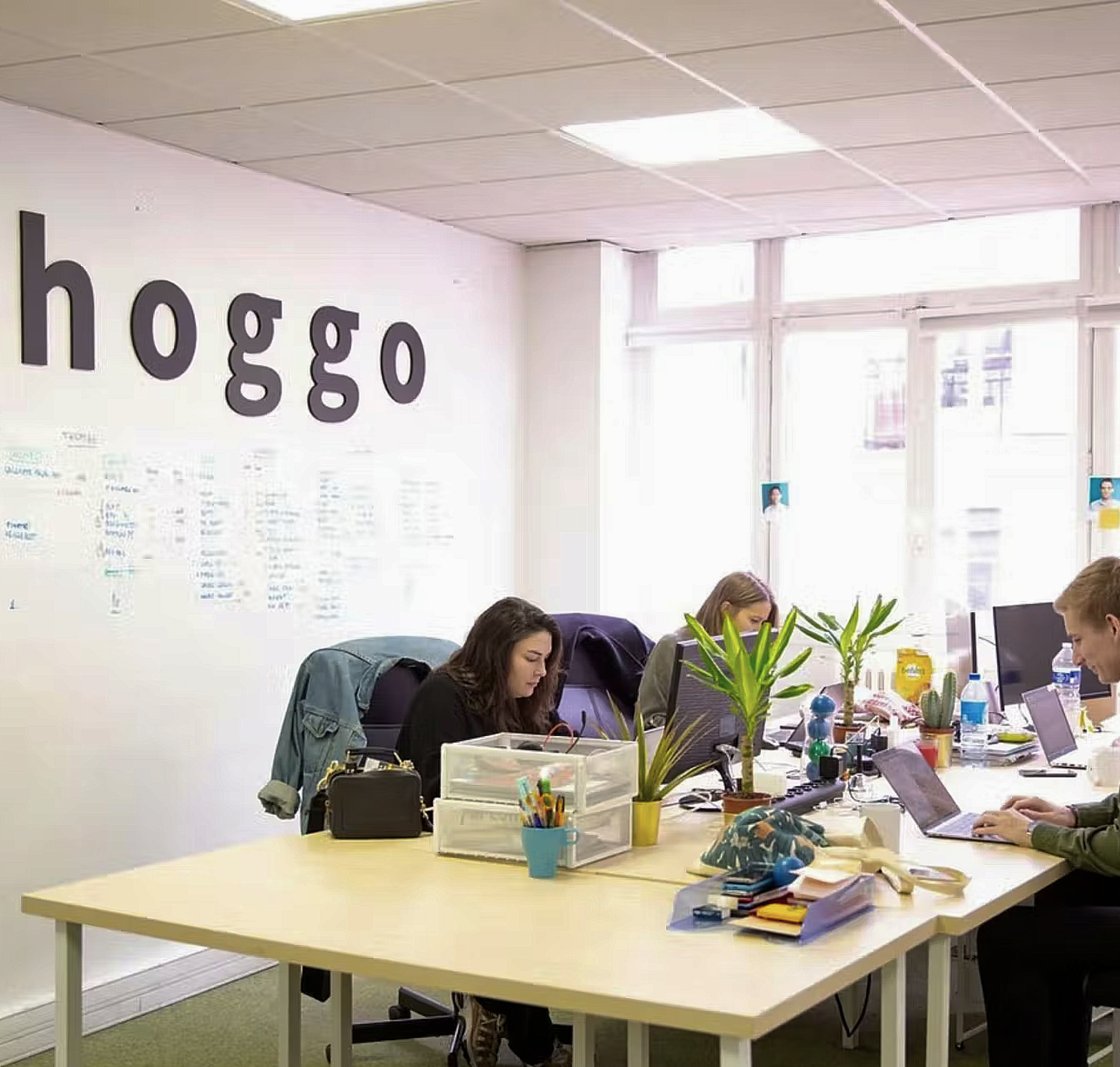 Photo Web Hero TopicHighlight Employés de Bento Hoggo travaillant
