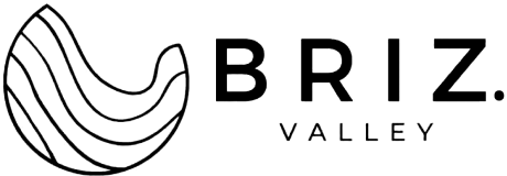 Logotipo WEB Black Briz Valley